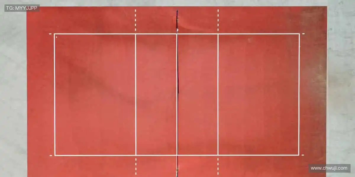 📡 无缝连接，不错过任何精彩瞬间！🌟